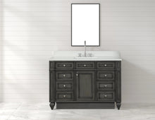 Load image into Gallery viewer, Design Element WN-48-GY Winston 48&quot; Single Sink Bathroom Vanity Gray