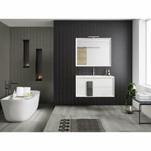 Load image into Gallery viewer, Lucena Bath 4318-01/grey 40&quot; White and Grey Cristal Vanity