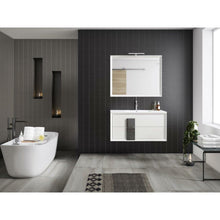 Load image into Gallery viewer, Lucena Bath 4304-01/grey 24&quot; White and Grey Cristal Vanity